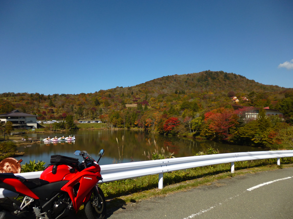 茶臼山高原に着いた 紅葉がきれい