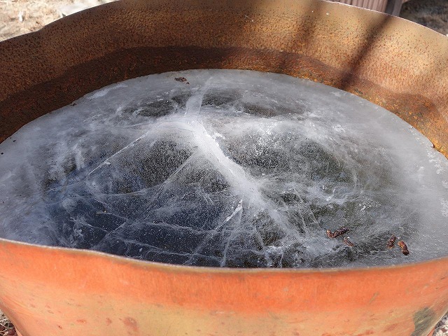 神社の横にあったドラム缶に入っていた水が見事に凍ってた！ 叩いて