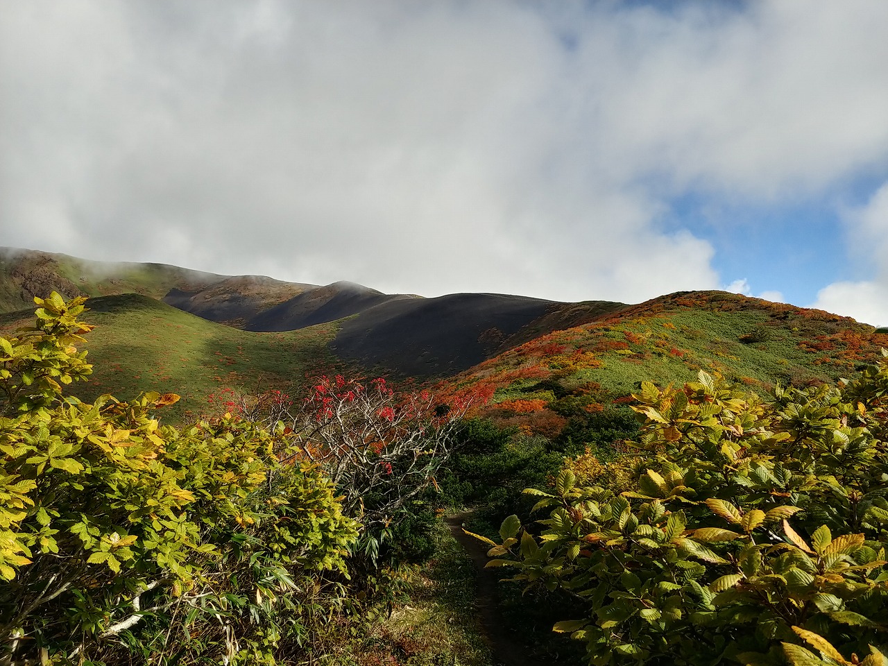 紅葉は例年より10日ほど遅れて今が見頃とか