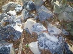 黒曜石はこういう白い粘土質の岩石の中に埋まっているそうです。 付