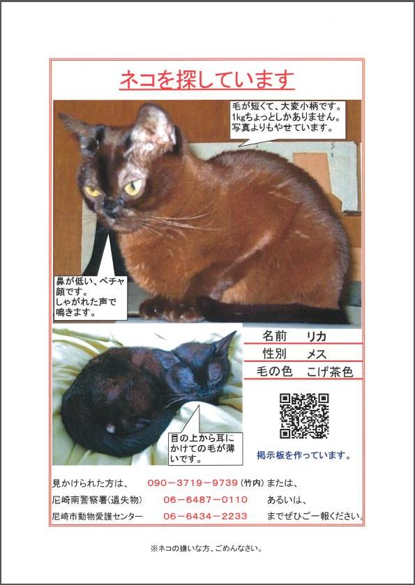 迷い猫応援団（仮）さんのサイトの情報を参考にして、ポスティング用