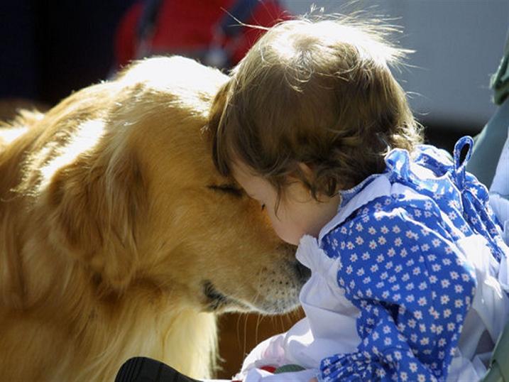 犬とちびっ子