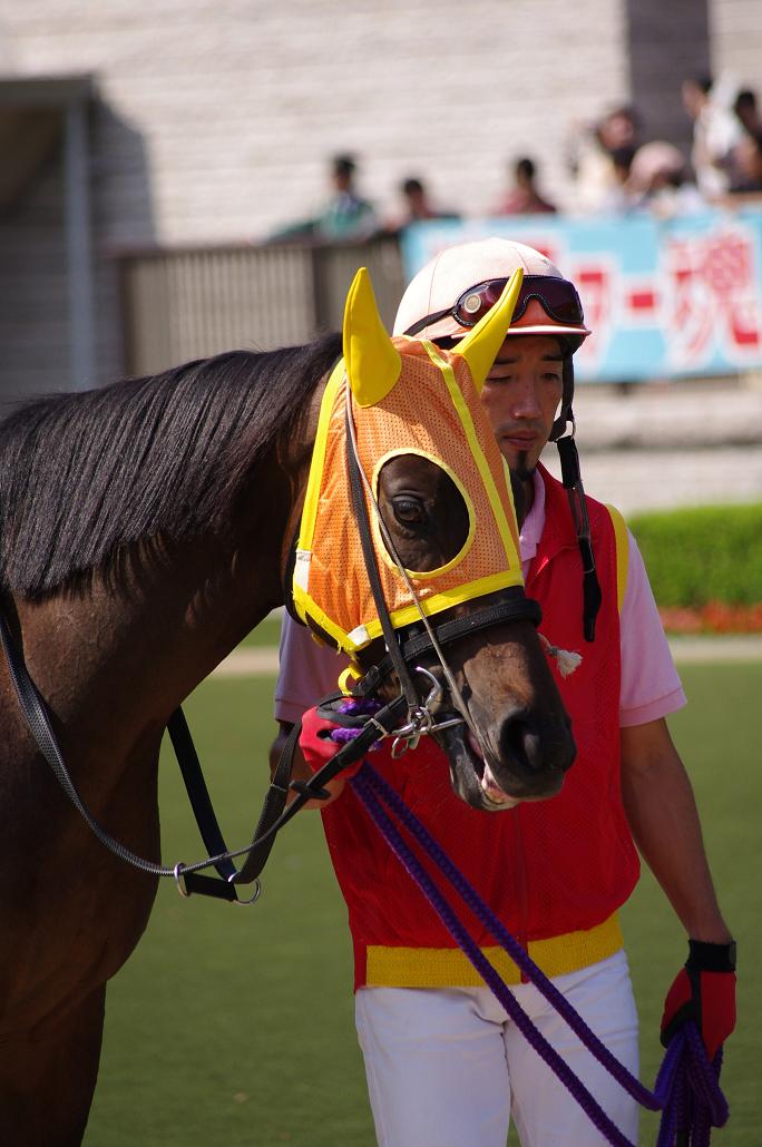 東京競馬場(2011.10.08) 芝1600m･2歳新馬戦