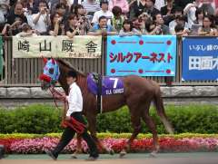 東京競馬場(2011.06.05) 芝1600m･安田記念