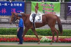 東京競馬場(2011.11.06) D1400m･2歳新馬戦
