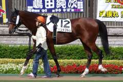 東京競馬場(2011.11.13) D1400m･3歳以上500