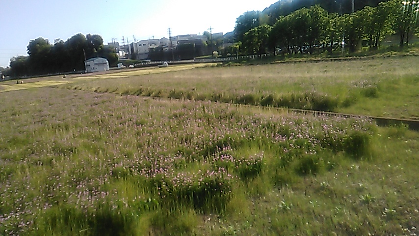flowery