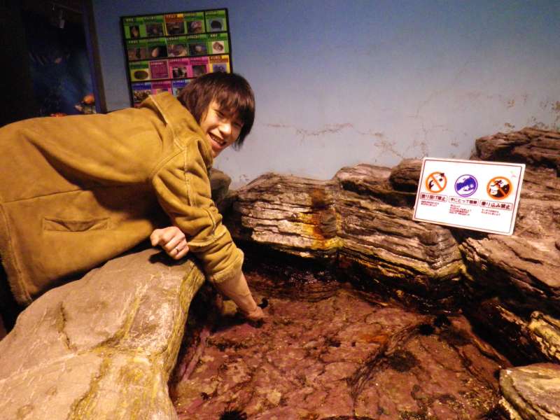 2012年３月。 海南市の県立自然博物館にて  生き物大好きな託