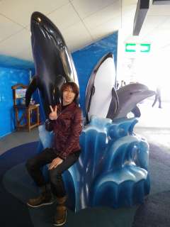 同じくアドベンチャーワールドにて☆イルカとクジラショーをみました