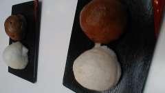 give leaven started