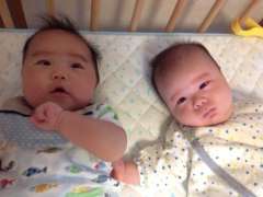 最後に、今年生まれた男子二名！ 左は生後３ヶ月の兄貴格の”ケンタ