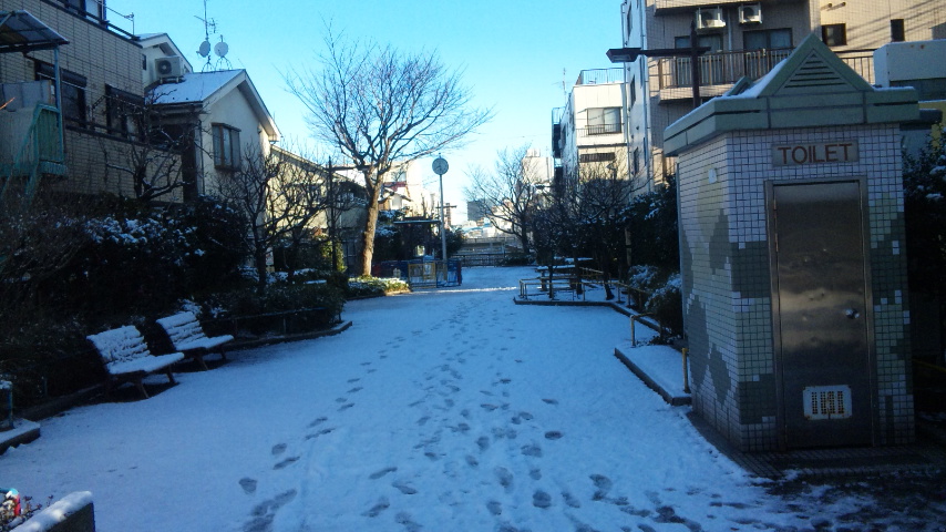 いつぞやの深夜にうちが数匹の黒猫と戯れた思い出の公園。それらしい