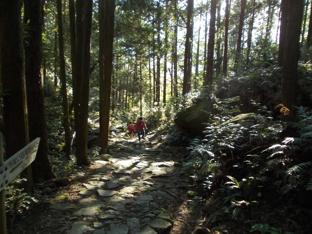 熊野古道はじまり、はじまり  その１２ 登りもきつかったけど、下