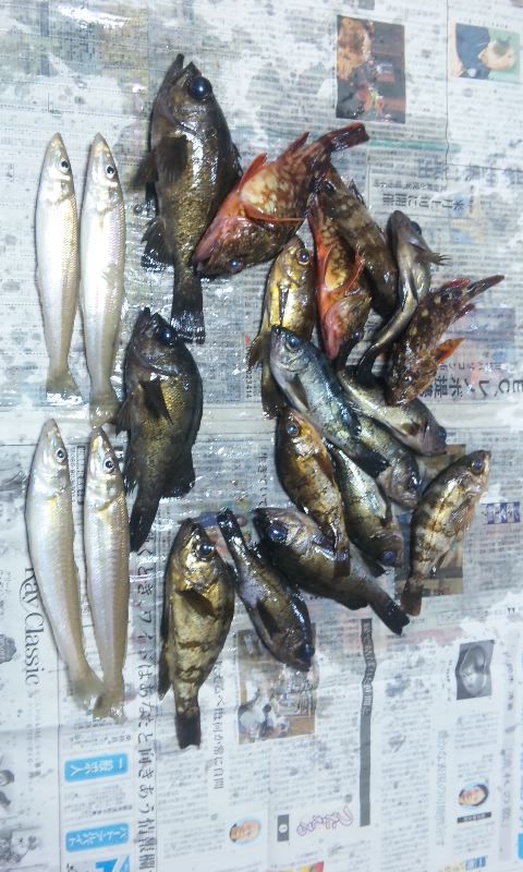 今年になって５度目の北木上陸(^_^;)  ゼロ番スタートでしま
