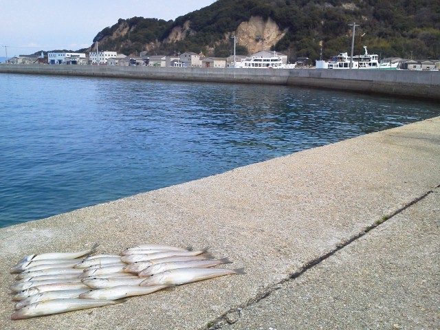 釣果です♪
